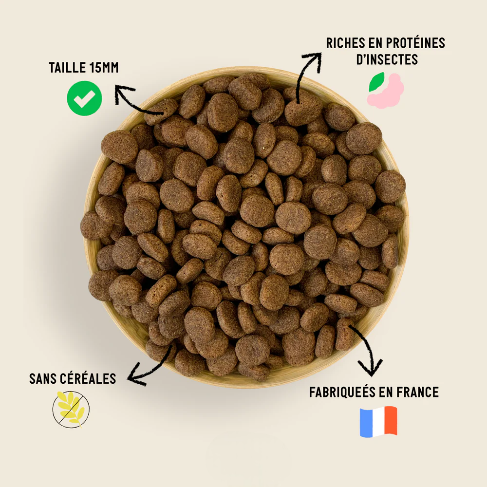DermaPaw InsectCare™ – Croquettes Apaisantes Hypoallergéniques pour Chiens Sensibles