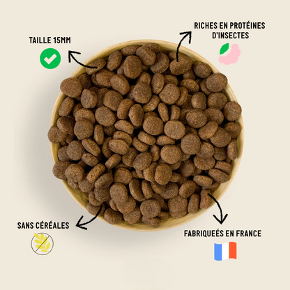 DermaPaw InsectCare™ – Croquettes Apaisantes Hypoallergéniques pour Chiens Sensibles