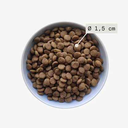 DermaPaw InsectCare™ – Croquettes Apaisantes Hypoallergéniques pour Chiens Sensibles
