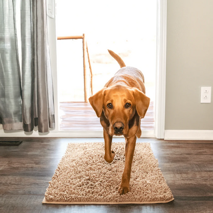 PawGuard™ – Tapis Ultra-Absorbant pour Animaux