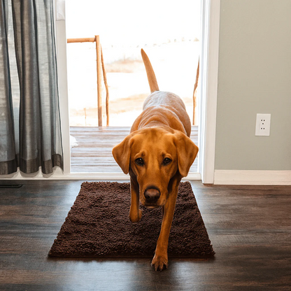 PawGuard™ – Tapis Ultra-Absorbant pour Animaux