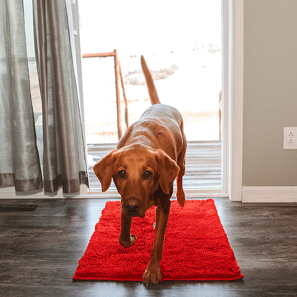 PawGuard™ – Tapis Ultra-Absorbant pour Animaux