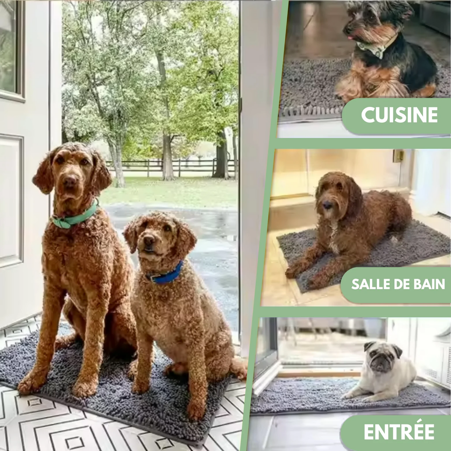 PawGuard™ – Tapis Ultra-Absorbant pour Animaux